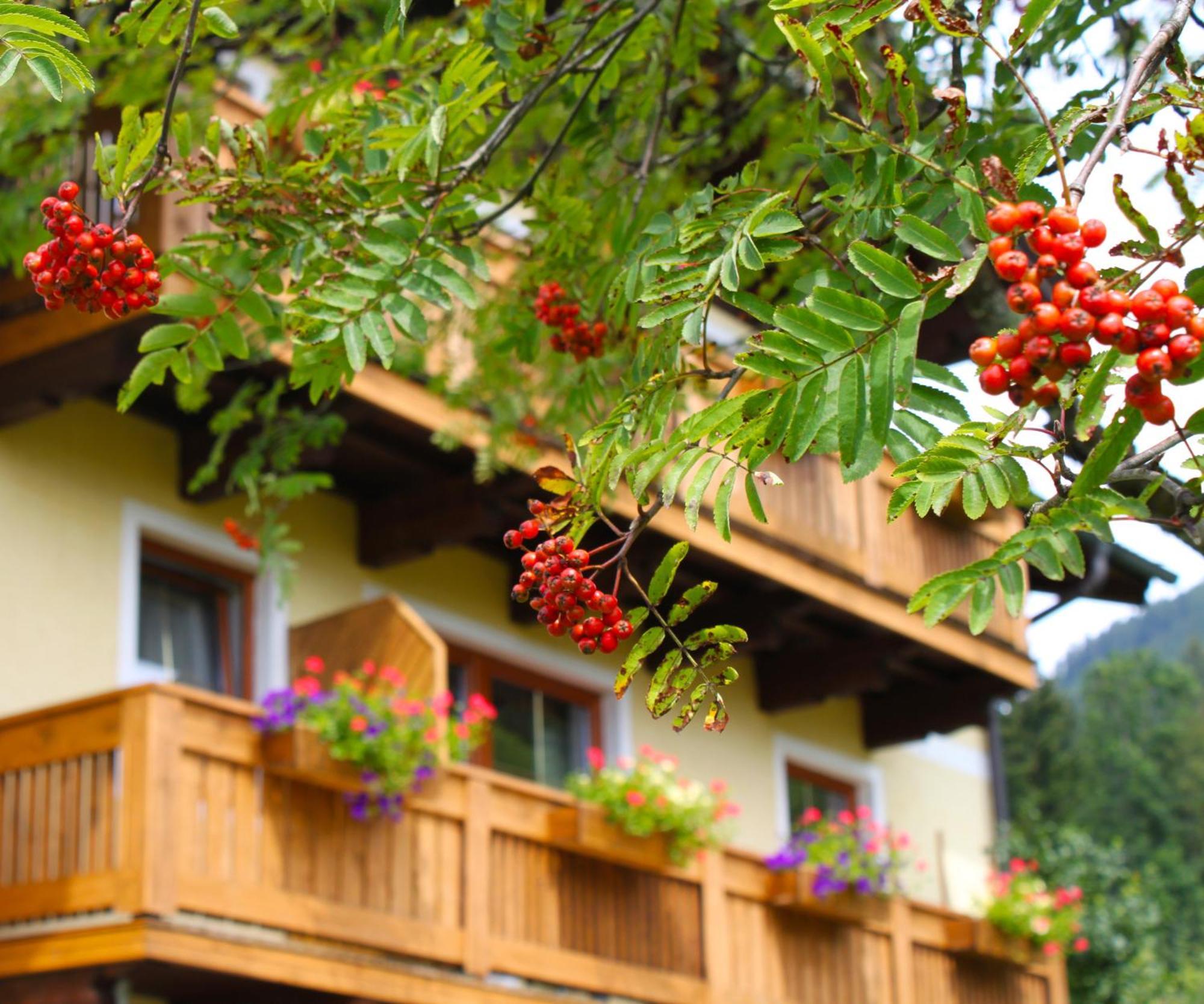 Haus Farmer Sankt Martin am Tennengebirge Zewnętrze zdjęcie